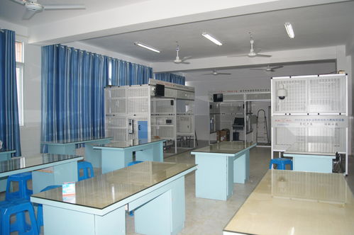 德宏建筑智能化资质新办哪家强？探寻专业展览展示服务的可靠伙伴